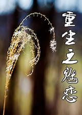 ����֮��������