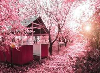 ����������