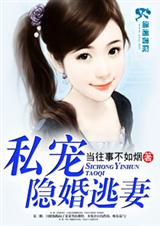 ˽���������޷���