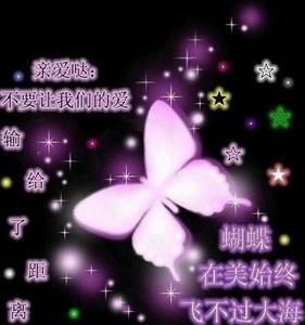 蝴蝶飞不过沧海封面