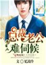 总裁老公难伺候封面