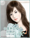 总裁的懒妻封面