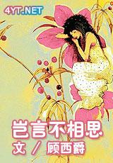 岂言不相思封面