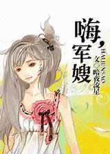 嗨,军嫂封面