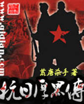抗日厚黑传封面
