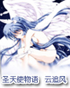 圣天使物语封面
