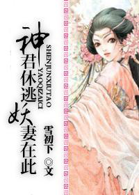 神君休逃,妖妻在此封面