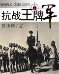 抗战王牌军封面