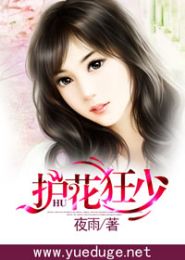 护花狂少封面