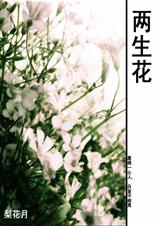 两生花-穿越到清宫复仇封面