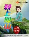 赖上仙山封面