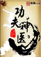 功夫神医封面