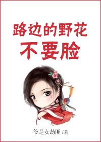 ·�ߵ�Ұ����Ҫ������