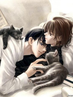 抽烟喝酒抢劫封面