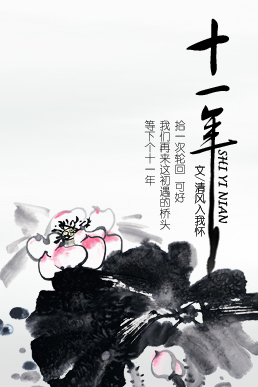 十一年封面
