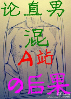 论直男混a站的后果封面