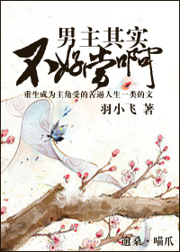 男主其实不好当啊封面