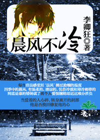 晨风不冷封面