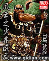 风云之少林威武封面