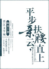 平步亲云封面