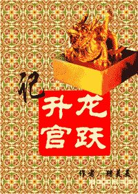 龙跃升官记封面
