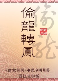 偷龙转凤封面
