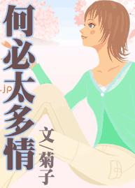 何必太多情封面