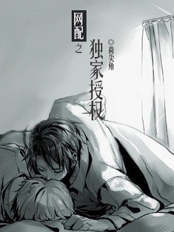 网配之独家授权封面