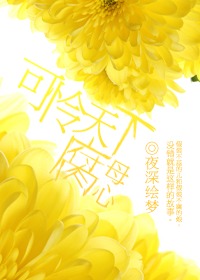 可怜天下腐母心封面