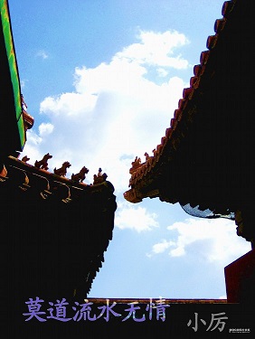 莫道流水无情封面