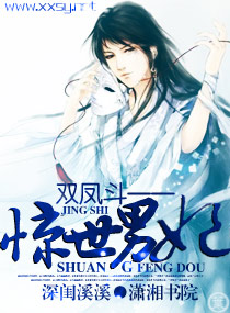 双凤斗一一惊世男妃封面