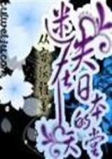 迷失在日本的天堂封面