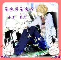 爱疯呀爱疯啊封面