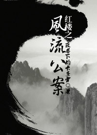 综红楼之风流公案封面