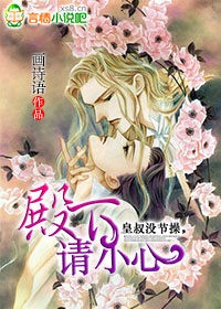 皇叔没节操,殿下请小心封面