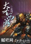 大圣西游封面