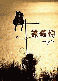 养猫记封面