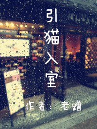 引猫入室封面