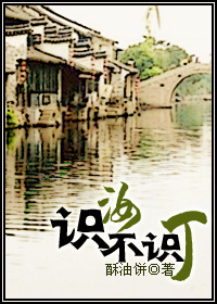 ʶ�겻ʶ������