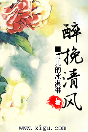 醉挽清风封面