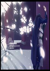 ������Զ�㣿����