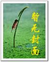 玄黄真人封面