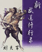 新武道修行录封面