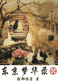 东京梦华录封面