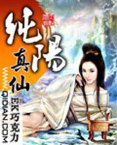 纯阳真仙封面