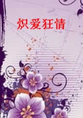 炽爱狂情封面