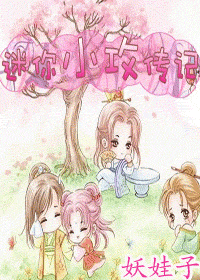 迷你小攻传记封面