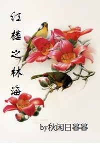 红楼之林海封面