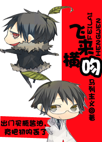 飞来横吻封面