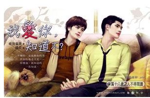 我爱你,知道不?封面